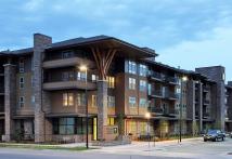 Arbour Square